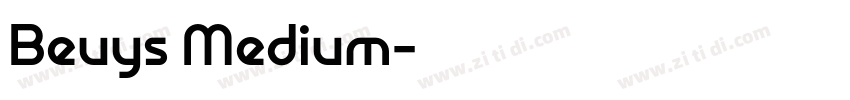 Beuys Medium字体转换
